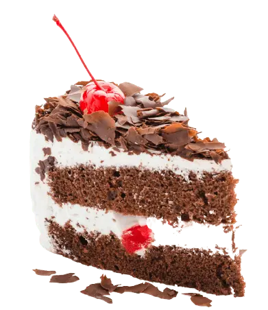 Eggless cookies at Manohar Bakery Edmonton, AB